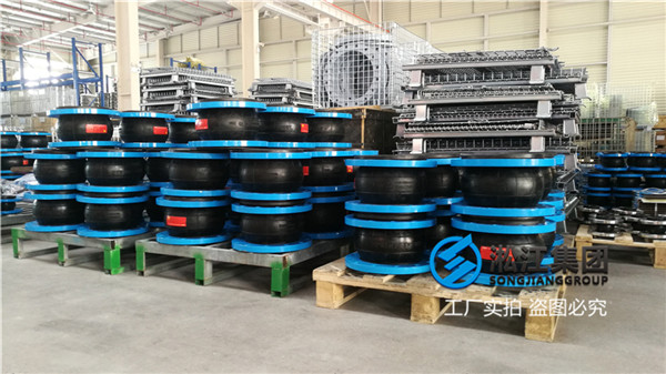 杭州自来水厂DN300橡胶减震器